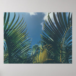 TROPICAL PALM LEAVES POSTER