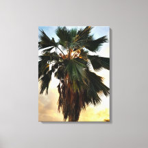 Tropical Palm Sunset – Stretched Canvas Print
