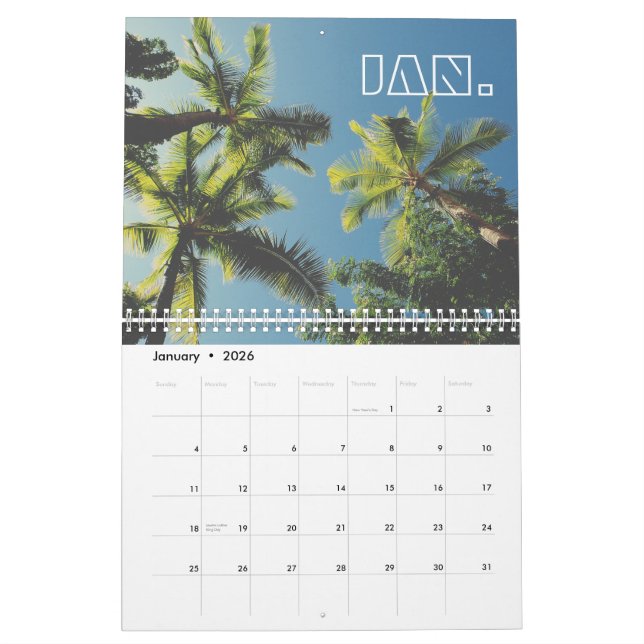 Tropical Palm Tree Blue Sky Retro Summer Vibe Calendar (Jan 2026)