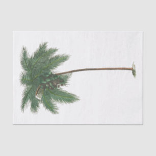 Tropical Palm Tree Plant Tissue Paper #1