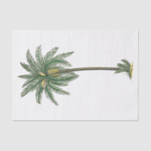 Tropical Palm Tree Plant Tissue Paper #2