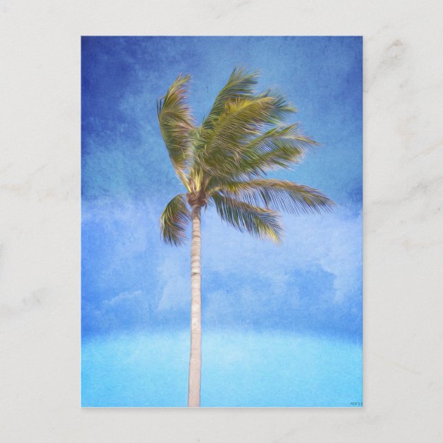 Tropical Palm Tree Postcard (Front)