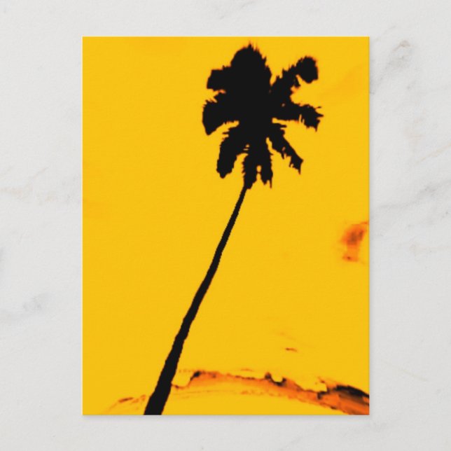 Tropical Palm Tree Postcard (Front)