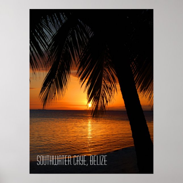 Tropical Palm Tree Sunset in Belize Poster (Front)