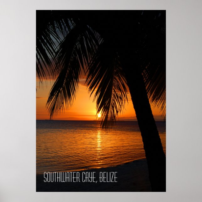Tropical Palm Tree Sunset in Belize Poster (Front)