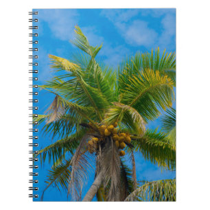 Tropical Palm Trees and Coconuts Notebook