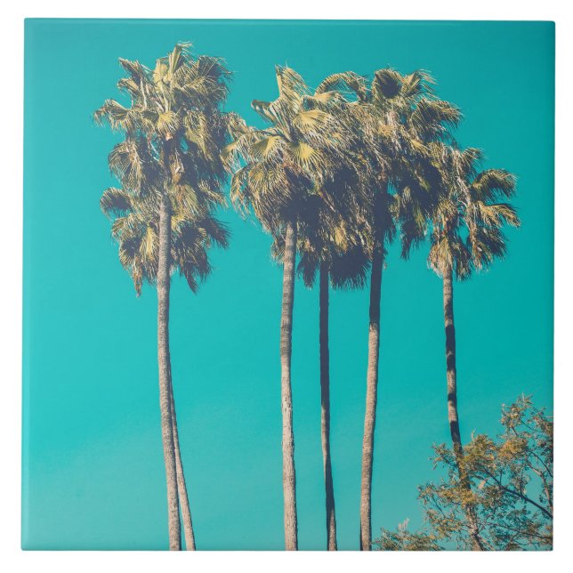 Tropical Palm Trees California Retro Vibe Tile (Front)