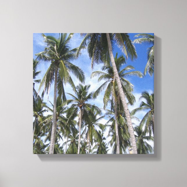 Tropical Palm Trees Canvas Print (Front)