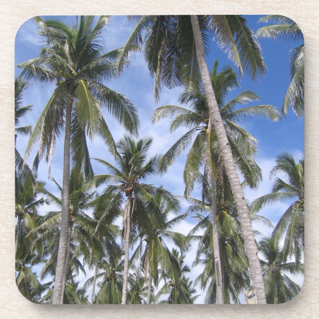 Tropical Palm Trees Coaster (Front)