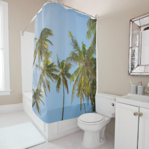 Tropical Palm Trees Low Angle View House