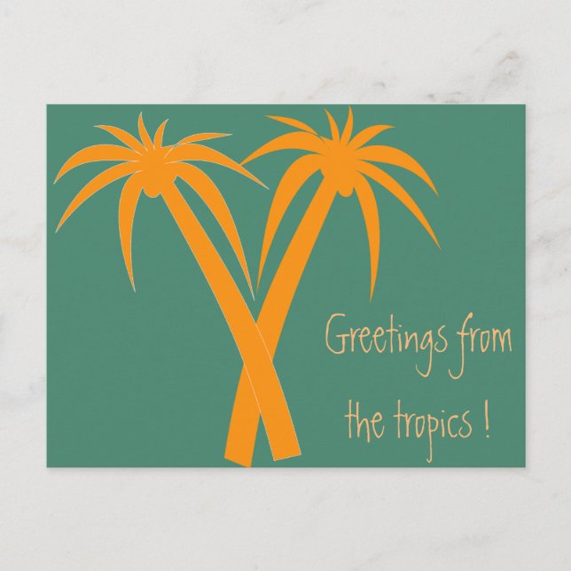 Tropical Palm Trees orange Summer Postcard (Front)