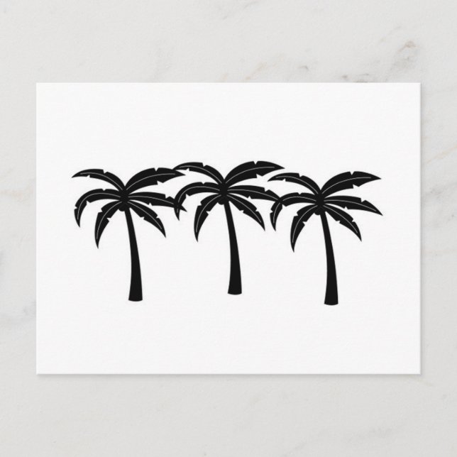 Tropical Palm Trees Postcard (Front)