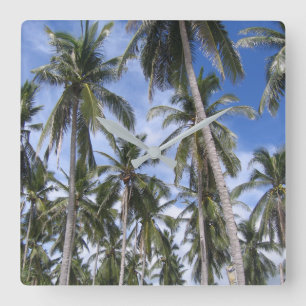 Tropical Palm Trees Square Wall Clock