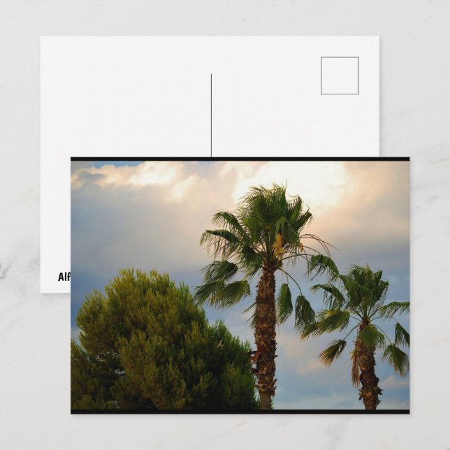 Tropical Palm Twilight Postcard (Front/Back)