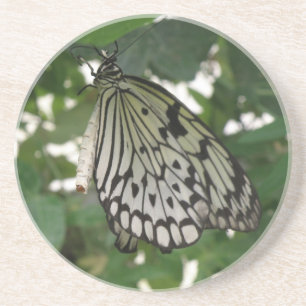 Tropical Paper Kite Butterfly Coasters