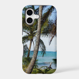 tropical paradise