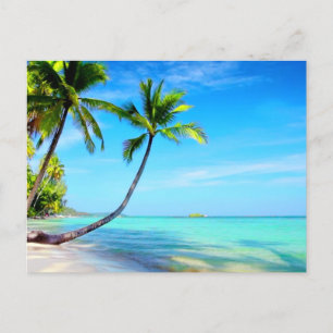 Tropical Paradise Beautiful Beach and Palm Trees Postcard