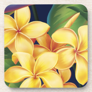 Tropical Paradise Hawaiian Floral Coasters