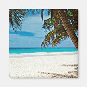 Tropical Paradise Magnet