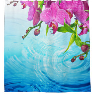 tropical paradise,zen,peace,mediation,yoga,chakra,