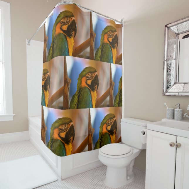 Tropical Parrot (In Situ)