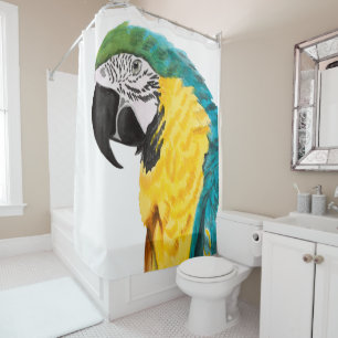 Tropical Parrot Bird