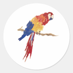 Tropical Parrot Bird Painting Classic Round Sticker