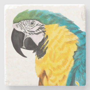 Tropical Parrot Bird Stone Coaster