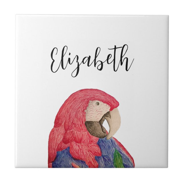 Tropical Parrot Drawing Colourful Macaw Tile (Front)