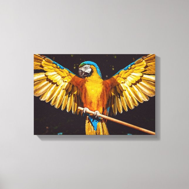 Tropical Parrot On A Perch Canvas Print (Front)