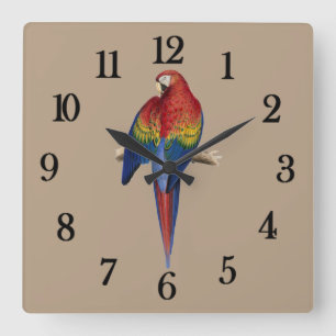 Tropical parrot square wall clock