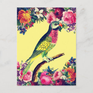 Tropical Parrot Vintage Design Postcard
