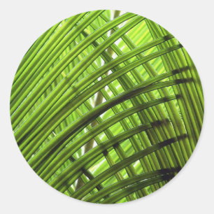 Tropical Pattern Classic Round Sticker