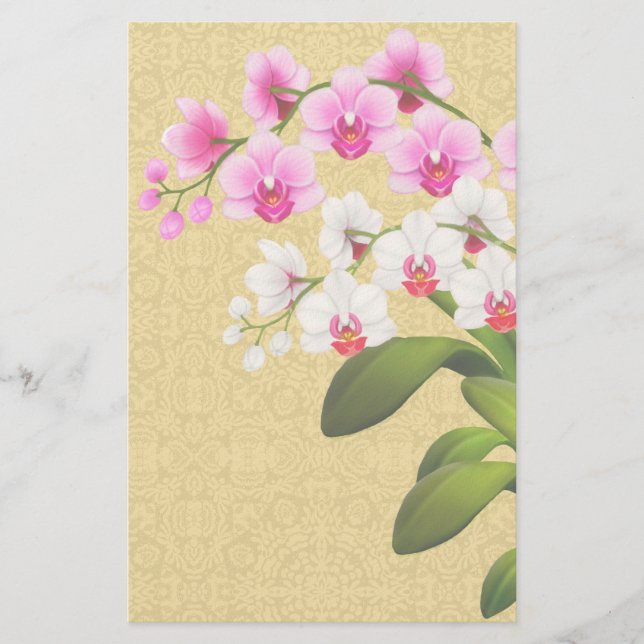 Tropical Phalaenopsis Orchid Flowers Stationery (Front)