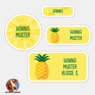 Tropical Pineapple Kids Name Labels – 24 Set