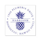 Tropical Pineapple Round Return Address