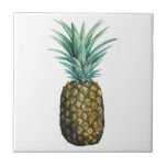 Tropical Pineapple Watercolor Tile<br><div class="desc">Tropical Pineapple Watercolor. Artist: Grace Popp. Image ID: 105687D.</div>