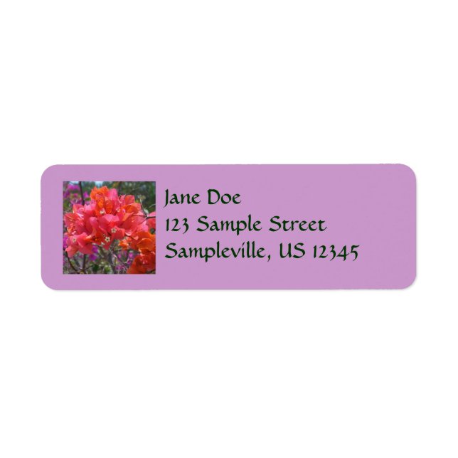 Tropical Pink Bougainvillea Island Floral (Devant)