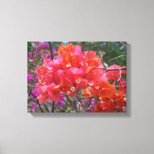 Tropical Pink Bougainvillea Island Floral Canvas Print