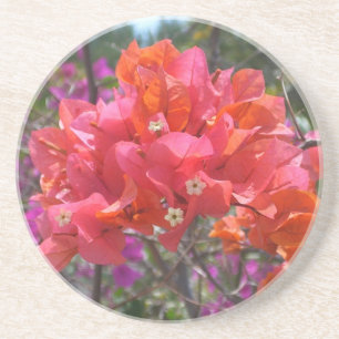 Tropical Pink Bougainvillea Island Floral Coaster