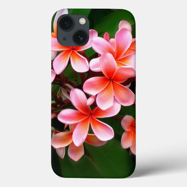 Tropical Pink Green Plumeria Flower Floral Photo Case-Mate iPhone Case (Back)