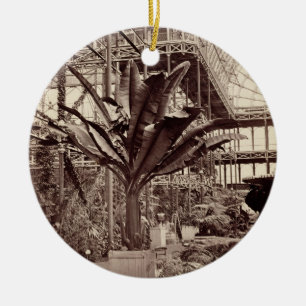 Tropical Plants in the Egyptian Room, Crystal Pala Ceramic Ornament