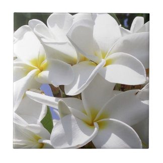 Tropical Plumeria Flowers Tile