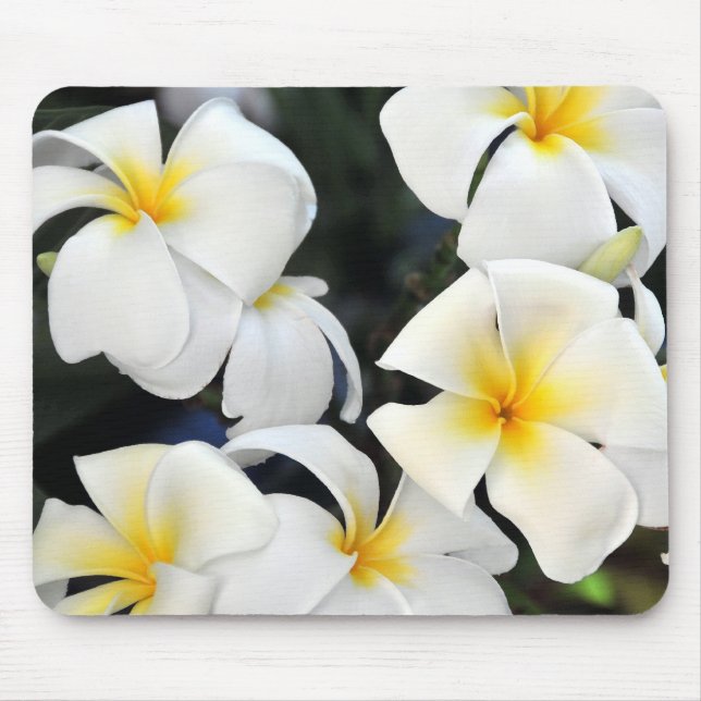 Tropical Plumeria Frangipani Flower Mouse Pad (Front)