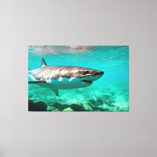 Tropical Predator: Great White Shark Canvas Print