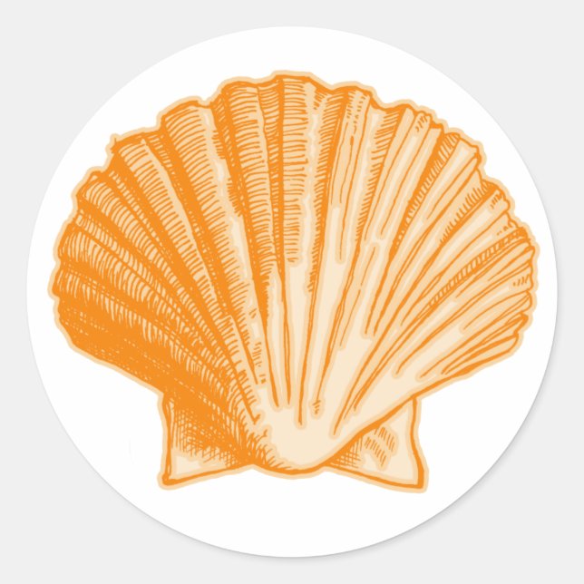 Tropical Protea Orange Sea Shell Classic Round Sticker (Front)