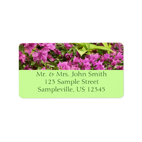Tropical Purple Bougainvillea