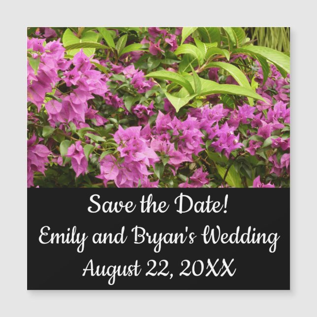 Tropical Purple Bougainvillea Floral (Front)
