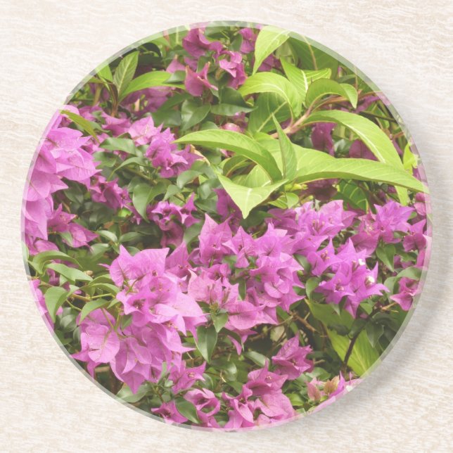 Tropical Purple Bougainvillea Floral Coaster (Front)