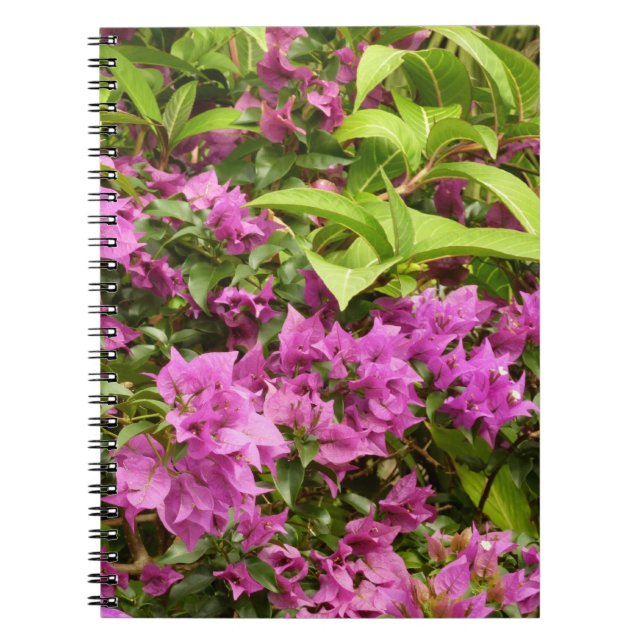 Tropical Purple Bougainvillea Floral Notebook (Front)